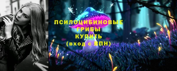 jwh Аркадак