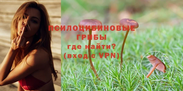 jwh Аркадак