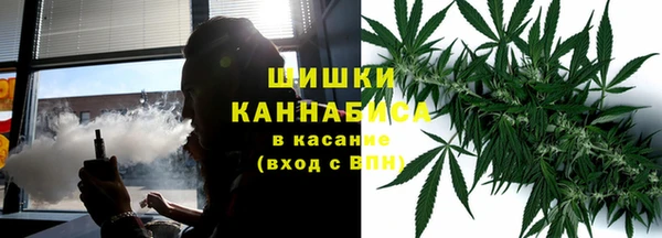 прущие грибы Киренск
